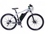 Benelli Achle 29 13Ah